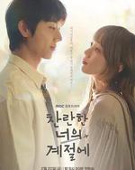 在你灿烂的季节